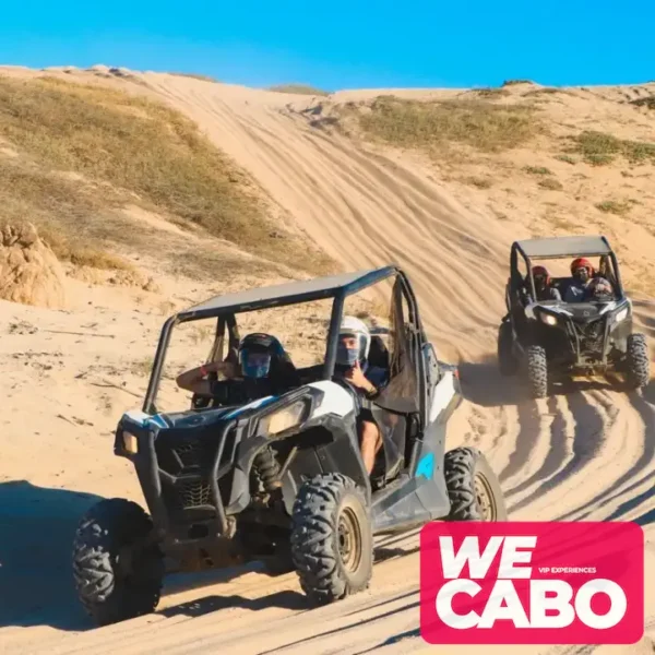 Imagen de un vehículo 4x4 en Los Cabos, recorriendo dunas y playas del Pacífico con WECABO.