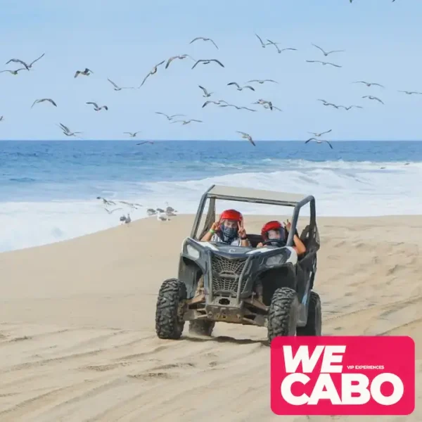 Imagen de un vehículo 4x4 en Los Cabos, recorriendo dunas y playas del Pacífico con WECABO.