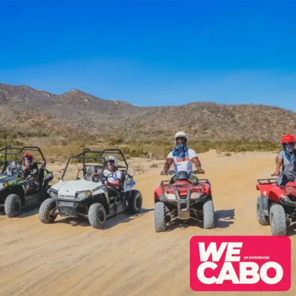 Imagen de un niño disfrutando de una aventura segura en un vehículo Mini Razor en Baja California con WECABO.