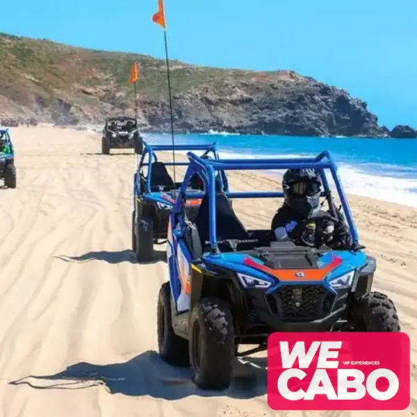 Imagen de un niño disfrutando de una aventura segura en un vehículo Mini Razor en Baja California con WECABO.