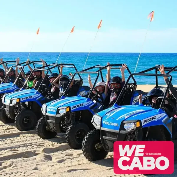 Imagen de un niño disfrutando de una aventura segura en un vehículo Mini Razor en Baja California con WECABO.