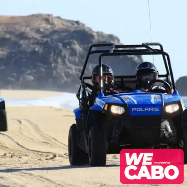 Imagen de un niño disfrutando de una aventura segura en un vehículo Mini Razor en Baja California con WECABO.