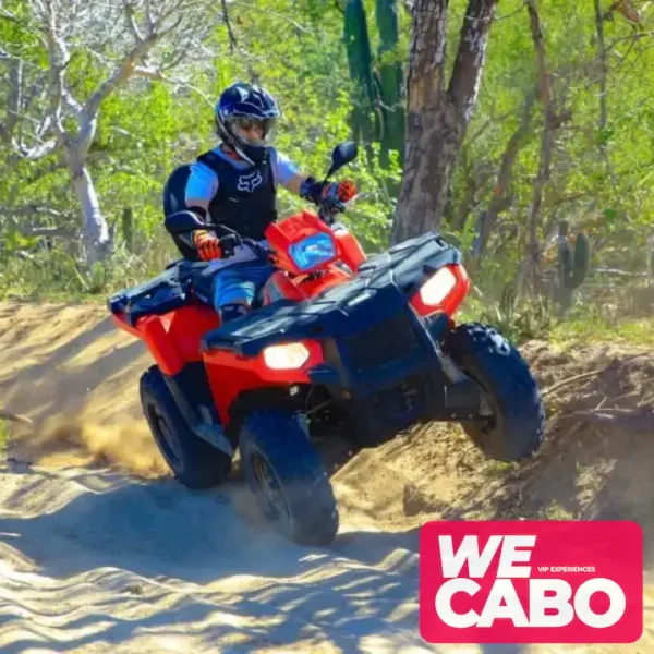 Imagen de un tour en ATV recorriendo senderos desérticos en Baja California con WECABO.