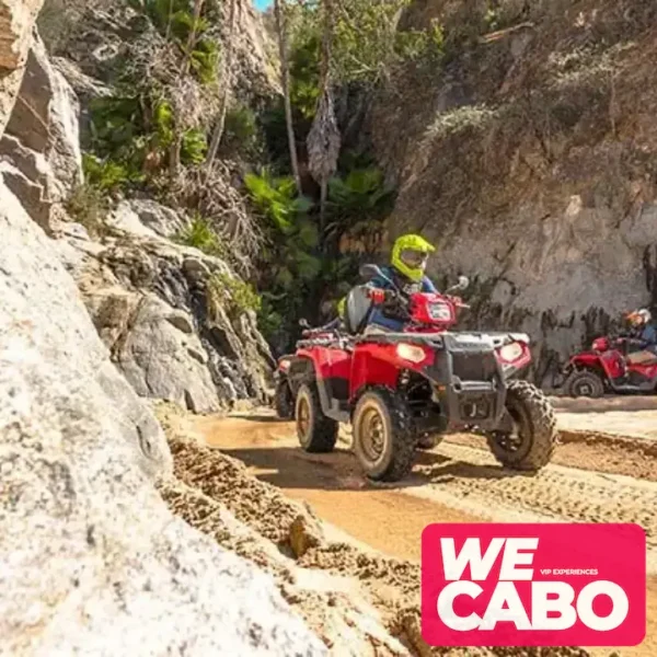 Imagen de un tour en ATV recorriendo senderos desérticos en Baja California con WECABO.