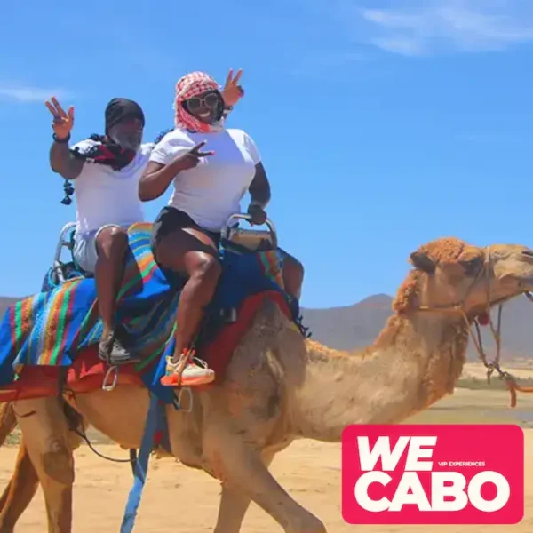 Image of a camel ride along the beaches and deserts of Cabo San Lucas, with Pacific Ocean views, courtesy of WECABO.