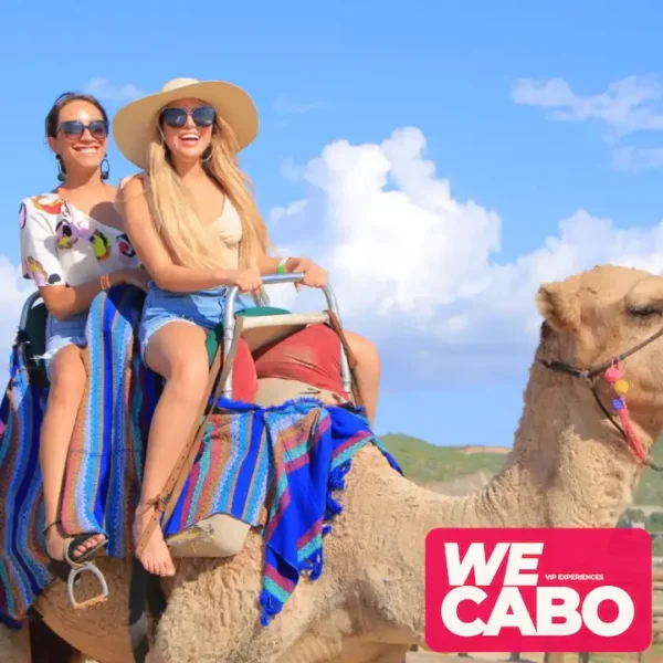 Image of a camel ride along the beaches and deserts of Cabo San Lucas, with Pacific Ocean views, courtesy of WECABO.