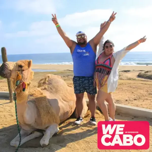 Image of a camel ride along the beaches and deserts of Cabo San Lucas, with Pacific Ocean views, courtesy of WECABO.