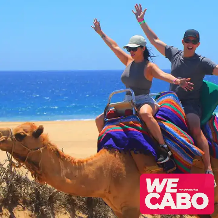 Image of a camel ride along the beaches and deserts of Cabo San Lucas, with Pacific Ocean views, courtesy of WECABO.