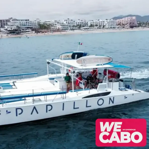 Imagen de un catamarán de 47 pies navegando en Cabo San Lucas, ofreciendo lujo y confort en un tour privado, cortesía de WECABO.