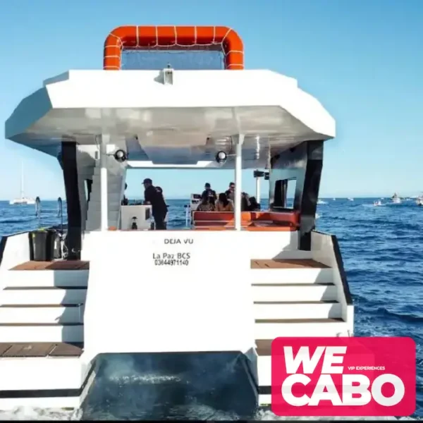 Imagen de un catamarán de lujo navegando cerca del Arco de Cabo San Lucas, ideal para grupos grandes, cortesía de WECABO.