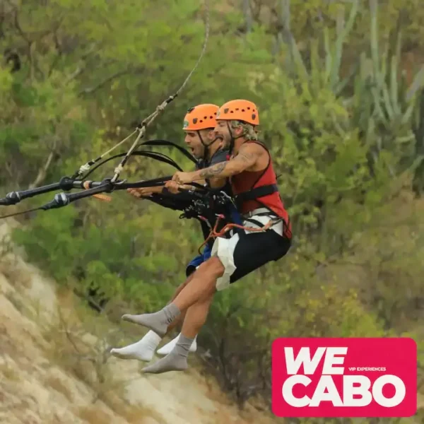 Imagen del columpio gigante en Los Cabos, suspendido a 300 pies sobre el desierto de Baja, cortesía de WECABO.