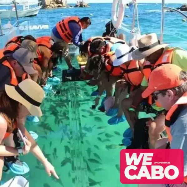 Image of a combo tour in Los Cabos featuring the Arch, camel ride, and 4x4 adventure, courtesy of WECABO.