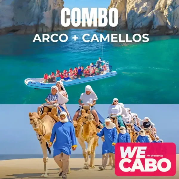 Image of a combo tour in Cabo San Lucas featuring a visit to the Arch and a camel ride along the beach, courtesy of WECABO.