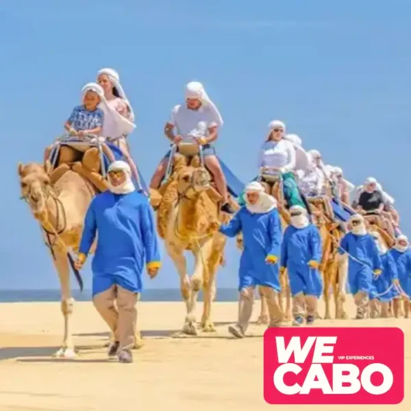 Image of a combo tour in Cabo San Lucas featuring a visit to the Arch and a camel ride along the beach, courtesy of WECABO.