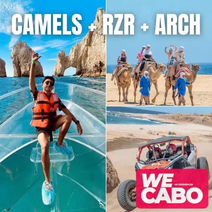 Imagen de un tour combinado en Los Cabos con paseo al Arco, camellos y recorrido en 4x4, cortesía de WECABO.