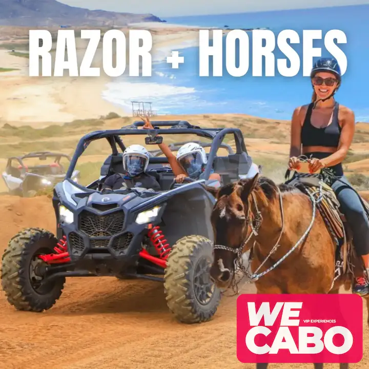 Imagen de un tour combinado en Cabo San Lucas con recorrido en razor y paseo a caballo, cortesía de WECABO.