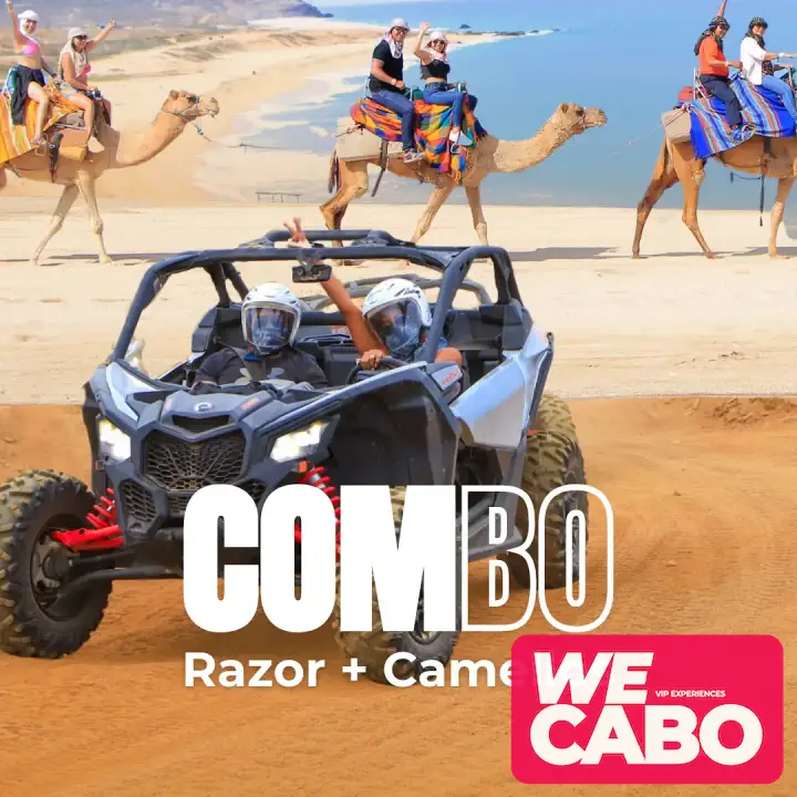 Imagen de un tour combinado en Cabo San Lucas con paseo en camello y conducción de RZR 4x4 en paisajes desérticos, cortesía de WECABO.