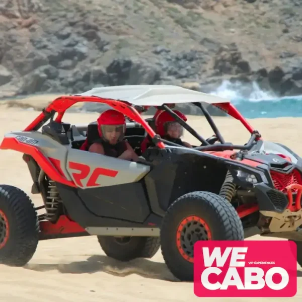 Imagen de un tour combinado en Cabo San Lucas con paseo en camello y conducción de RZR 4x4 en paisajes desérticos, cortesía de WECABO.