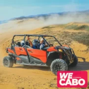 Image of a combo tour in Cabo San Lucas featuring a camel ride and RZR 4x4 adventure in desert landscapes, courtesy of WECABO.
