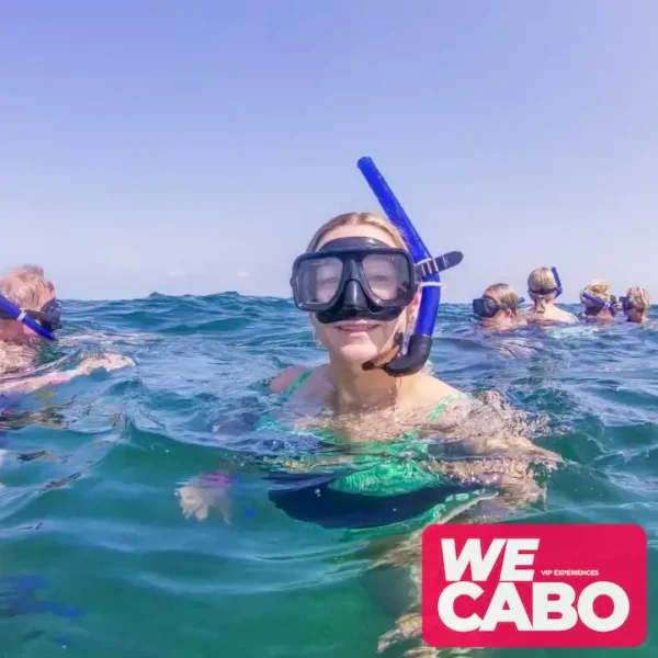 Image of a combo tour featuring snorkeling and a visit to the Arch of Cabo San Lucas, with water activities, courtesy of WECABO.