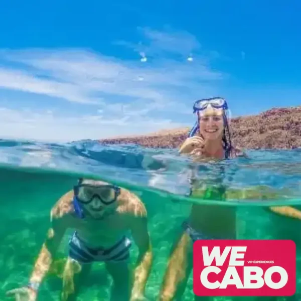 Imagen de un tour combinado de snorkel y visita al Arco de Cabo San Lucas, con actividades acuáticas, cortesía de WECABO.