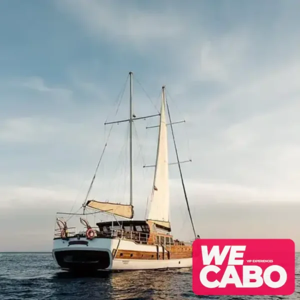 Imagen de un crucero de lujo en Cabo San Lucas con snorkel en la Bahía Chileno y almuerzo de tacos de pescado, cortesía de WECABO.