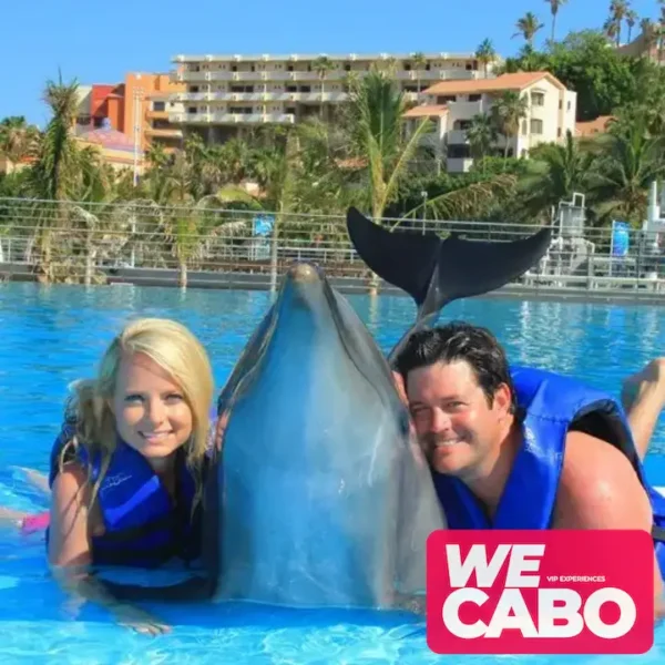 Image of a dolphin encounter in Cabo San Lucas, perfect for families and marine life enthusiasts, courtesy of WECABO.