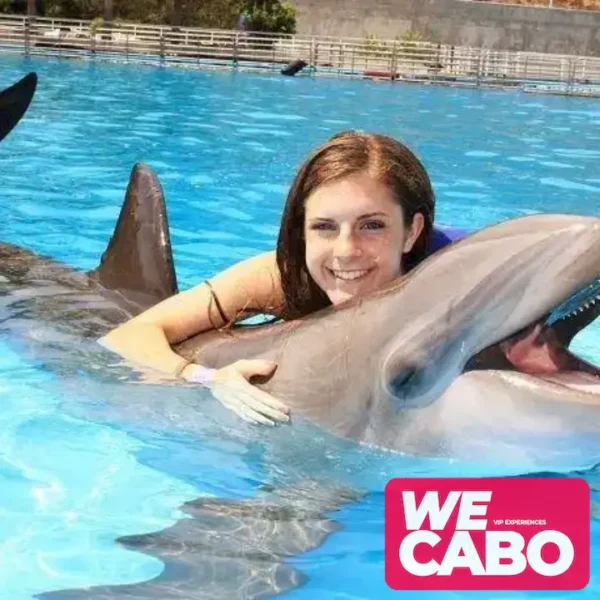 Image of an interactive dolphin swimming experience in Cabo San Lucas, perfect for families, courtesy of WECABO.