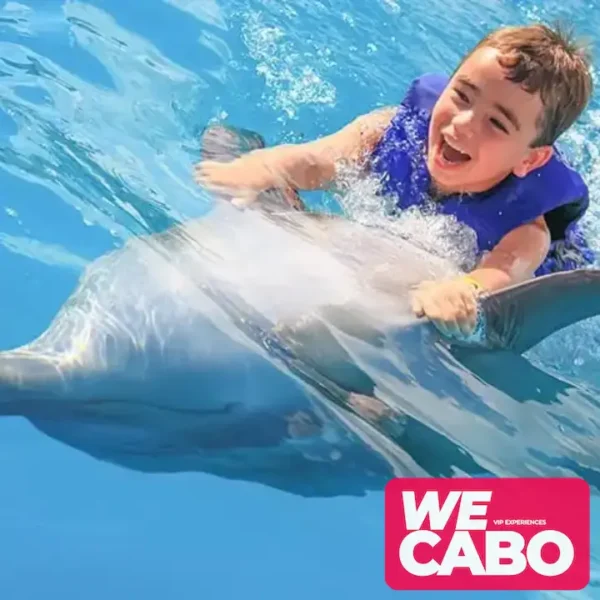 Image of an interactive dolphin swimming experience in Cabo San Lucas, perfect for families, courtesy of WECABO.