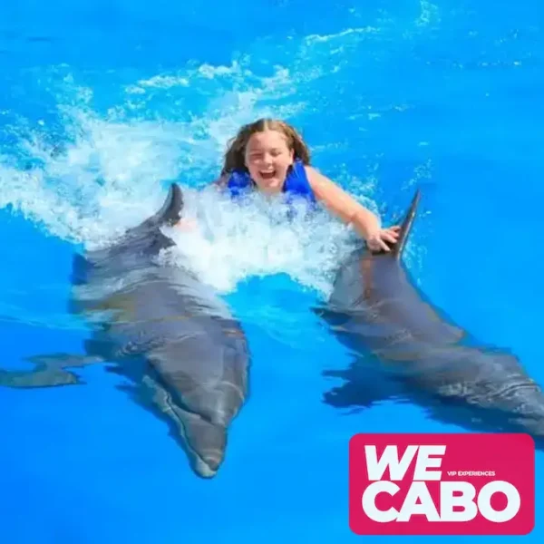 Image of an interactive dolphin swimming experience in Cabo San Lucas, perfect for families, courtesy of WECABO.