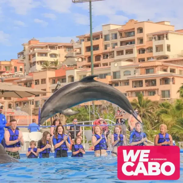 Image of an interactive dolphin swimming experience in Cabo San Lucas, perfect for families, courtesy of WECABO.