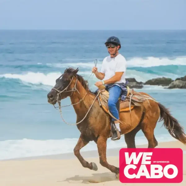 Image of a horseback ride along the beaches and deserts of Los Cabos, perfect for intermediate and advanced riders, courtesy of WECABO.