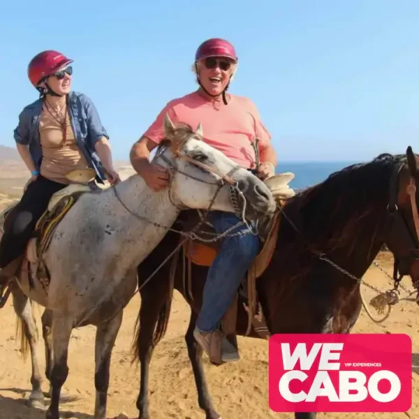 Image of a horseback ride along the beaches and deserts of Los Cabos, perfect for intermediate and advanced riders, courtesy of WECABO.