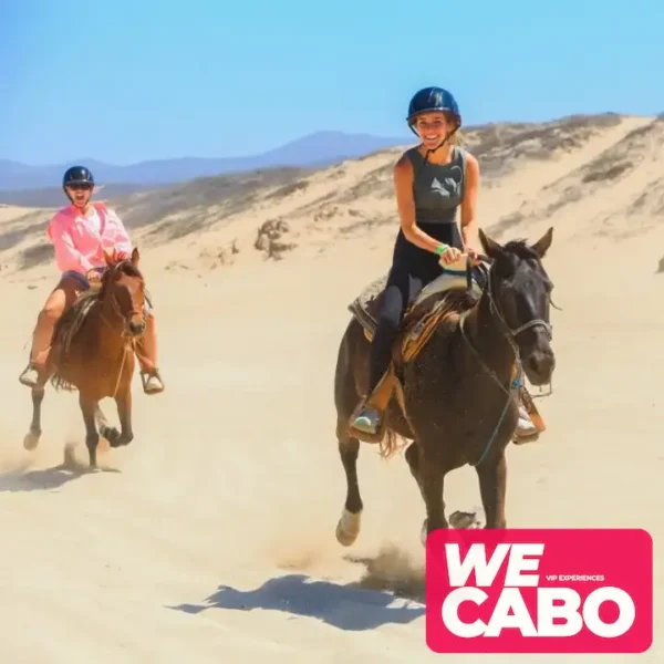 Image of a horseback ride along the beaches and deserts of Los Cabos, perfect for intermediate and advanced riders, courtesy of WECABO.