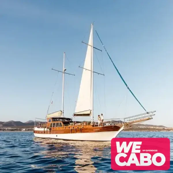 Image of a luxury yacht cruising at sunset in Cabo San Lucas, featuring a private chef dinner and premium bar, courtesy of WECABO.