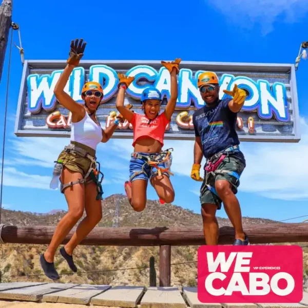 Image of a person gliding on a zipline over a canyon in Los Cabos, surrounded by desert landscape and nature.