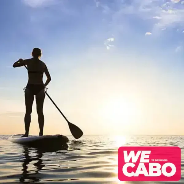 Imagen de una experiencia de paddleboard al amanecer en el Arco de Cabo San Lucas, ideal para aventureros, cortesía de WECABO.