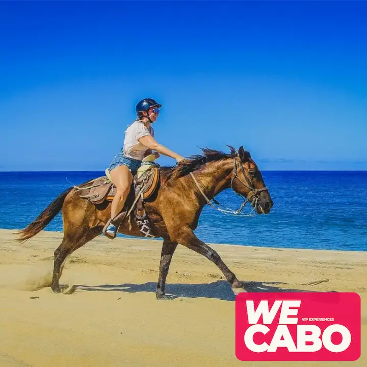 Imagen de un paseo a caballo por las playas y desiertos de Los Cabos, ideal para jinetes intermedios y avanzados, cortesía de WECABO.