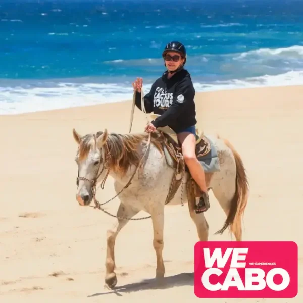 Imagen de un paseo a caballo por las playas y desiertos de Los Cabos, ideal para jinetes intermedios y avanzados, cortesía de WECABO.