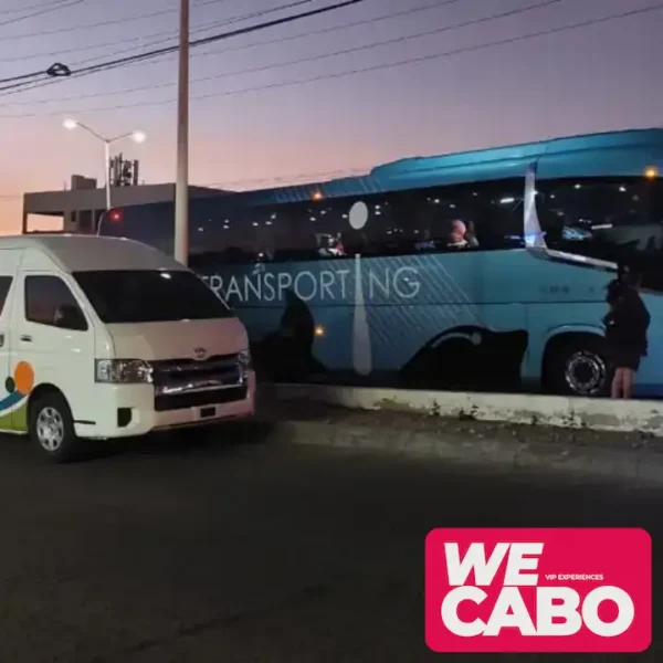 Vista panorámica de Playa Balandra con sus aguas cristalinas y paisajes únicos, parte del tour desde Los Cabos que incluye transporte y visita al Malecón de La Paz.