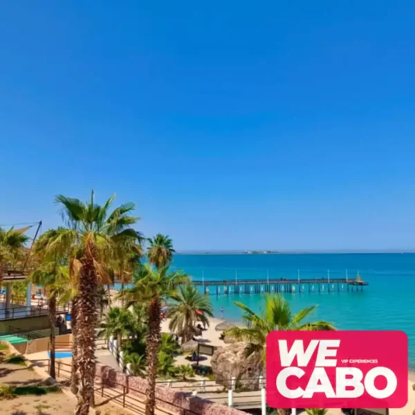 Vista panorámica de Playa Balandra con sus aguas cristalinas y paisajes únicos, parte del tour desde Los Cabos que incluye transporte y visita al Malecón de La Paz.