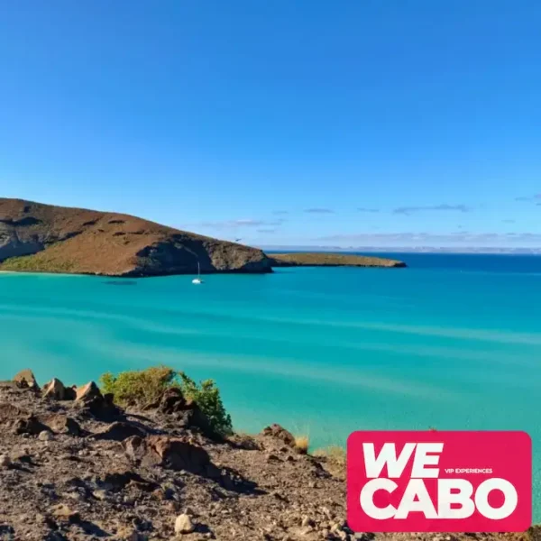 Vista panorámica de Playa Balandra con sus aguas cristalinas y paisajes únicos, parte del tour desde Los Cabos que incluye transporte y visita al Malecón de La Paz.