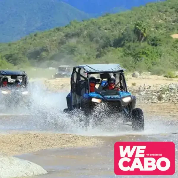 Imagen de un ATV recorriendo un sendero del desierto de Baja California, rodeado de un paisaje árido con montañas y cielos despejados.