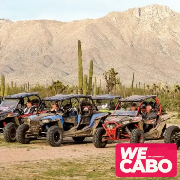 Imagen de un ATV recorriendo un sendero del desierto de Baja California, rodeado de un paisaje árido con montañas y cielos despejados.