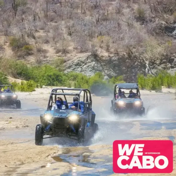 Imagen de un ATV recorriendo un sendero del desierto de Baja California, rodeado de un paisaje árido con montañas y cielos despejados.