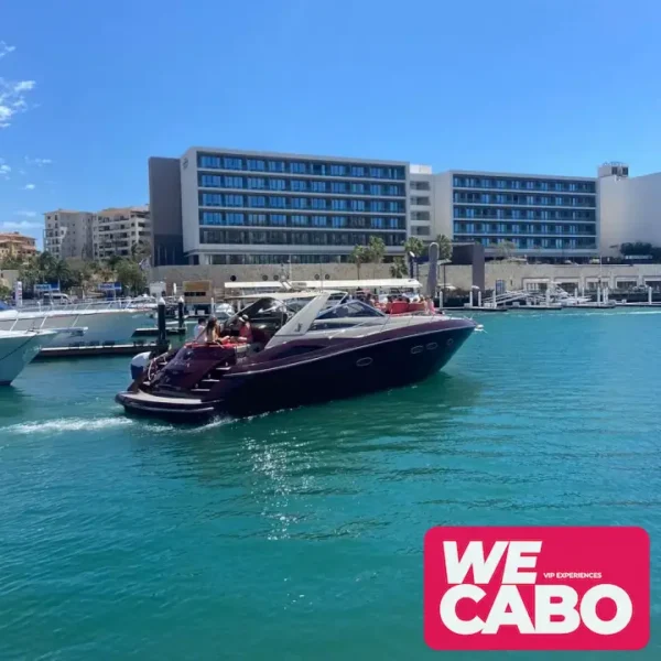 Imagen del yate Pasha en Cabo San Lucas, ideal para grupos pequeños que buscan lujo y exclusividad en el mar.